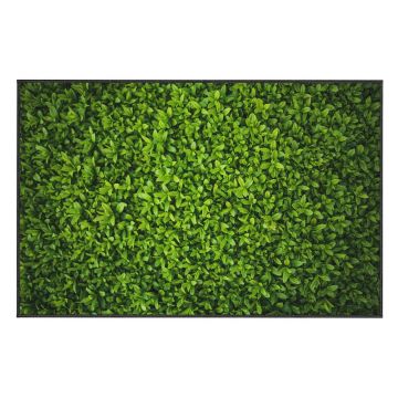 Covor Oyo home Ivy, 100 x 140 cm, verde