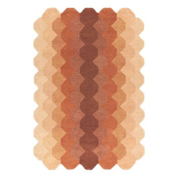 Covor cărămiziu din lână 160x230 cm Hive – Asiatic Carpets