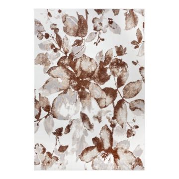 Covor maro 120x170 cm Shine Floral – Hanse Home ieftin