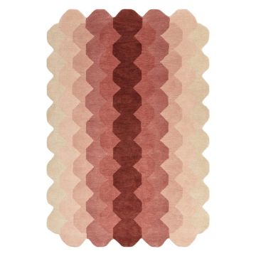 Covor roz din lână 160x230 cm Hive – Asiatic Carpets
