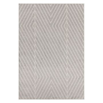 Covor gri deschis 160x230 cm Muse – Asiatic Carpets