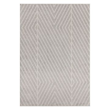 Covor gri deschis 160x230 cm Muse – Asiatic Carpets ieftin