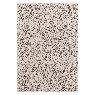 Covor negru-alb 160x230 cm Muse – Asiatic Carpets