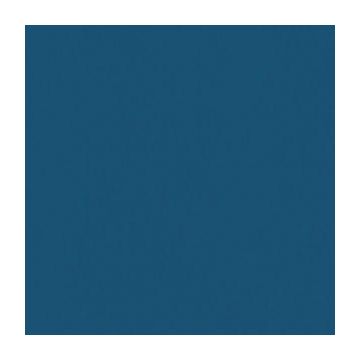 PVC sportiv Omnisports V120 albastru Night Blue