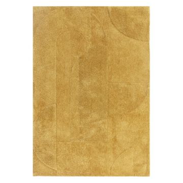Covor galben ocru 160x230 cm Tova – Asiatic Carpets la reducere