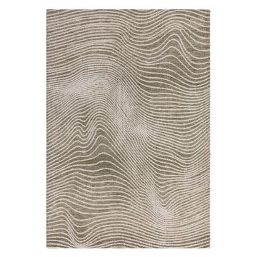 Covor verde-crem 200x290 cm Mason – Asiatic Carpets ieftin