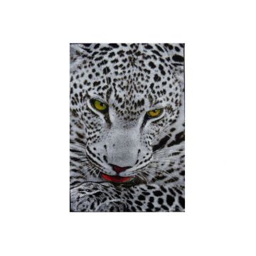 Covor Kolibri Leopard, 160x230 cm la reducere