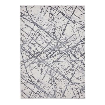 Covor gri deschis 120x170 cm Artemis – Think Rugs ieftin