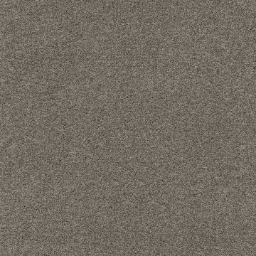 Mocheta poliamida Tapibel Diplomat 58541 gri 5.5 mm 4 ML