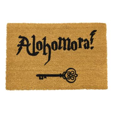 Covoraș intrare din fibre de cocos Artsy Doormats Alohomora, 40 x 60 cm
