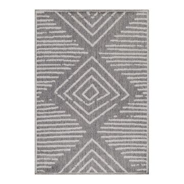 Covor de exterior gri 200x290 cm Aruba – Ayyildiz Carpets