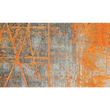 COVORAȘ DE INTRARE 70/120 cm