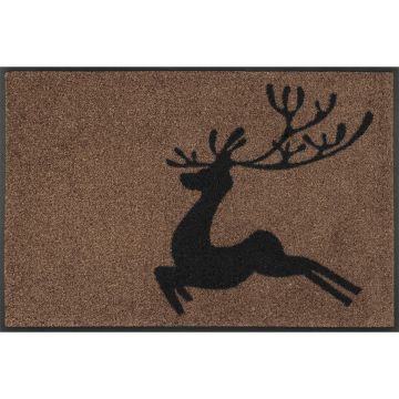 COVORAȘ DE INTRARE 50/75 cm