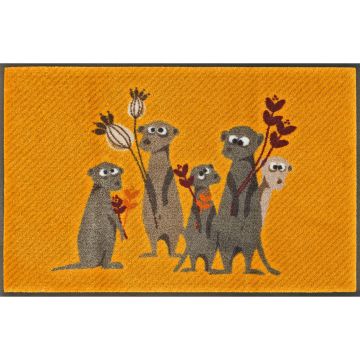 COVORAȘ DE INTRARE 50/75 cm