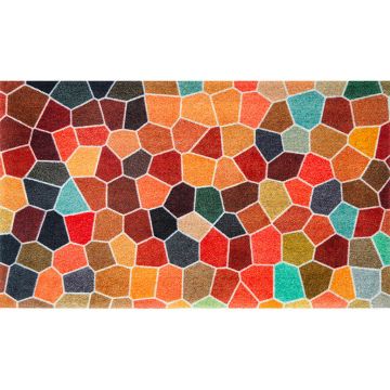 COVORAȘ DE INTRARE 70/120 cm