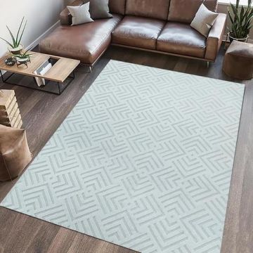 Covor Blanita Heinner Dover, 160 x 230 cm (Gri)
