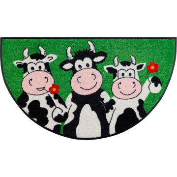 COVORAȘ DE INTRARE 50/85 cm
