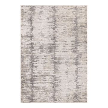 Covor 200x300 cm Anders Grey – Asiatic Carpets