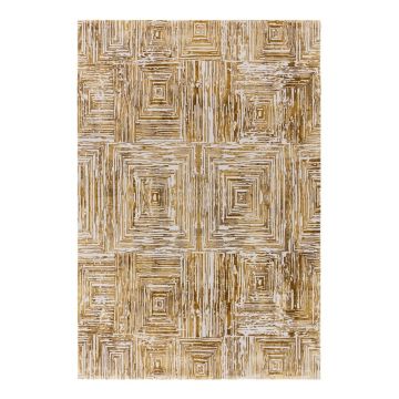 Covor auriu 160x230 cm Kuza Lines Gold – Asiatic Carpets