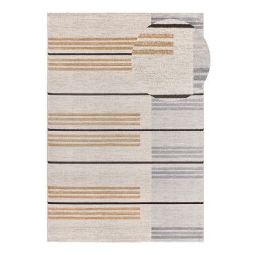Covor gri deschis-crem 160x230 cm Craft – Universal