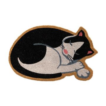 Covoraș de intrare din fibre de nucă de cocos 40x60 cm Cat – Casa Selección