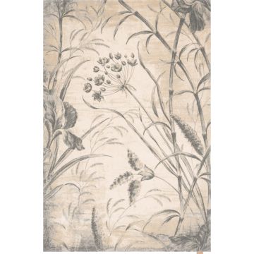 Covor crem din lână 300x400 cm Botany – Agnella