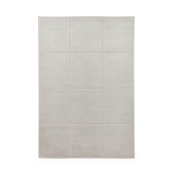 Covor gri deschis 120x170 cm Elio Silver – Think Rugs