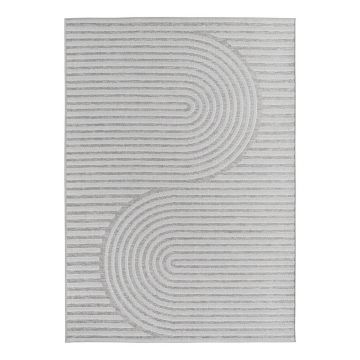 Covor pentru exterior și interior gri 80x150 cm Desert 1301 – Ayyildiz Carpets