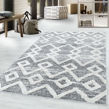 Covor Pisa Gri V3 80x150 cm