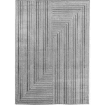 Covor traversa Nova V2 Argintiu 80x150 cm la reducere
