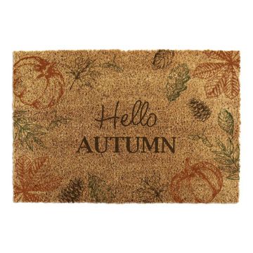 Covoraș de intrare din fibre de nucă de cocos 40x60 cm Hello Autumn – Artsy Doormats