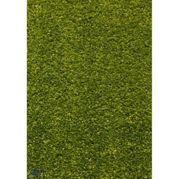 Covor Dreptunghiular, 80 x 150 cm, Verde, Kolibri 11000/130