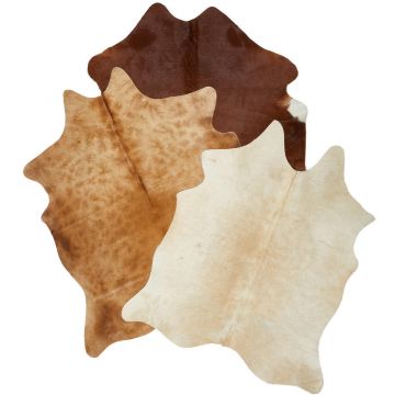 Blană De Bovine Brasil