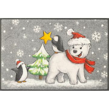 Covoraș De Intrare 50/75 cm