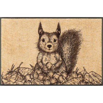 Covoraș De Intrare 50/75 cm