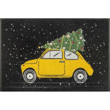 Covoraș De Intrare 50/75 cm