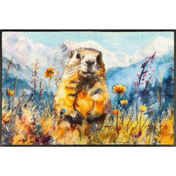 Covoraș De Intrare 50/75 cm