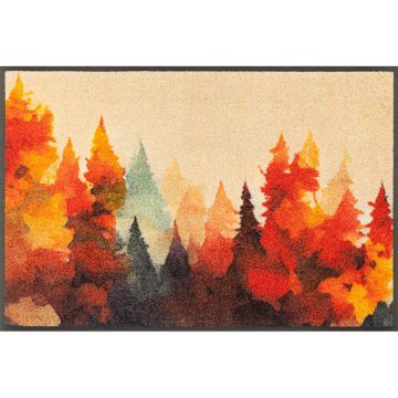 Covoraș De Intrare 50/75 cm