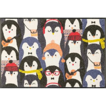 Covoraș De Intrare 50/75 cm