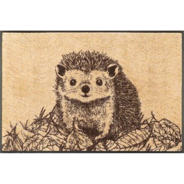 Covoraș De Intrare 50/75 cm