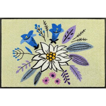 Covoraș De Intrare 50/75 cm