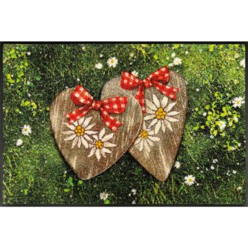 Covoraș De Intrare 50/75 cm