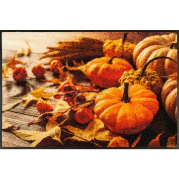 Covoraș De Intrare 50/75 cm