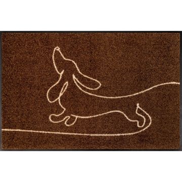 Covoraș De Intrare 50/75 cm