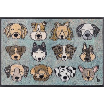 Covoraș De Intrare 50/75 cm