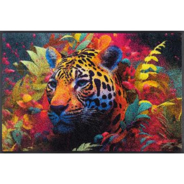 Covoraș De Intrare 50/75 cm