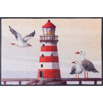 Covoraș De Intrare 50/75 cm