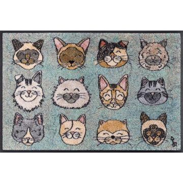 Covoraș De Intrare 50/75 cm