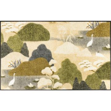 Covoraș De Intrare 75/120 cm