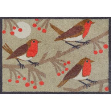Covoraș De Intrare 60/85 cm